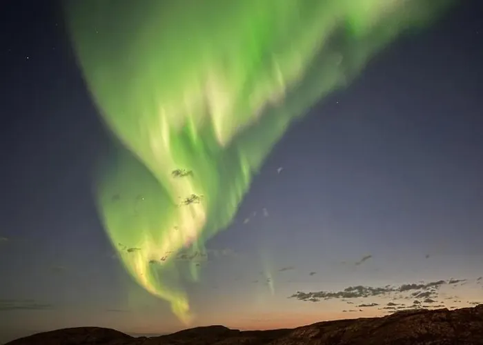 Scandic Havet Hotel 4*